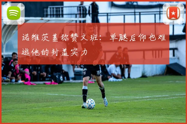 诺维茨基称赞文班：单腿后仰也难逃他的封盖实力